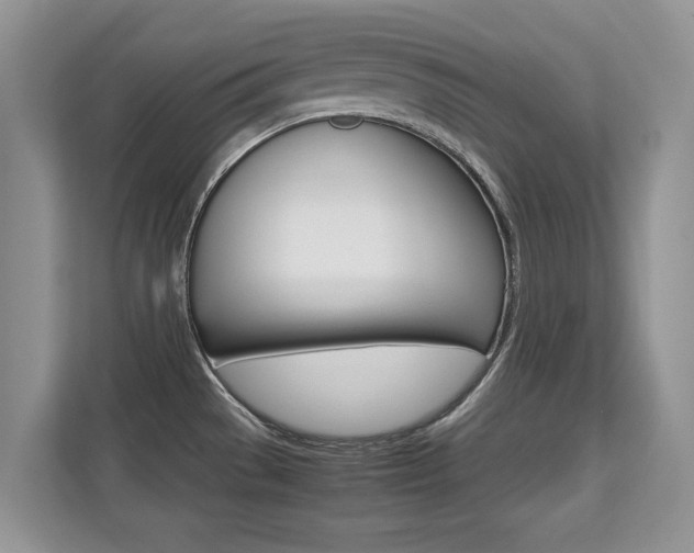 X0000112211529200908071253
