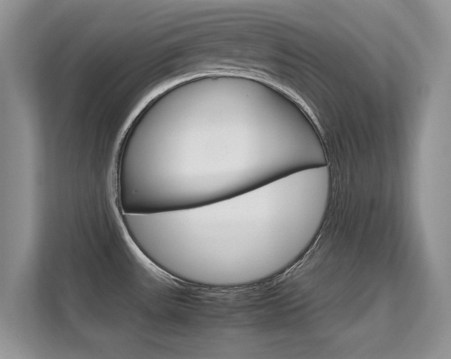 X0000112211531200908071253