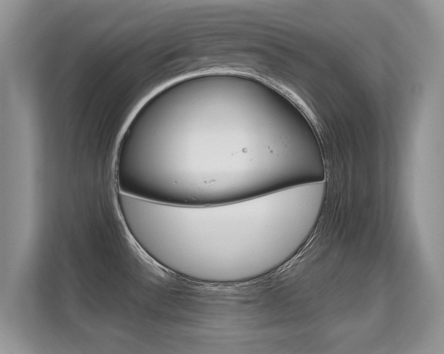 X0000112211532200908071253