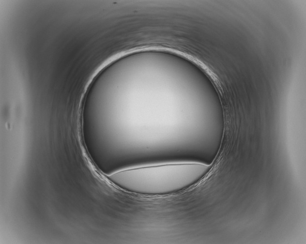 X0000112211534200908071253