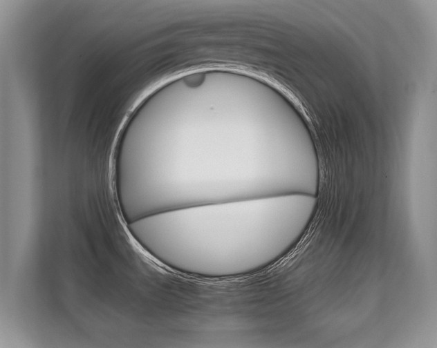 X0000112211535200908071253