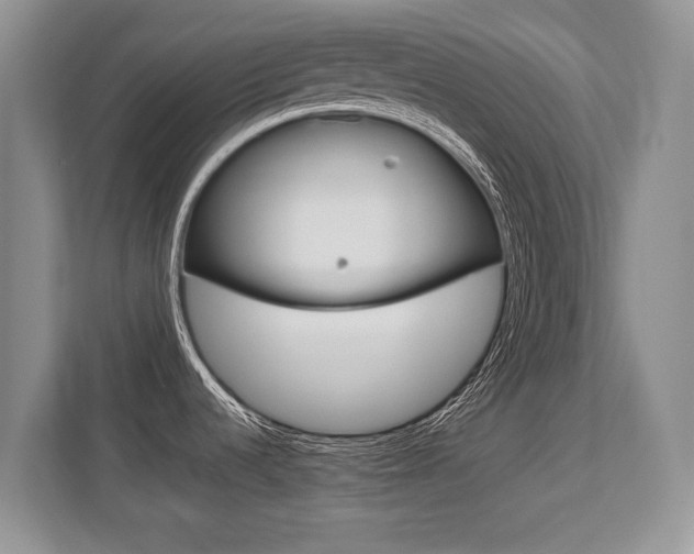 X0000112211536200908071253