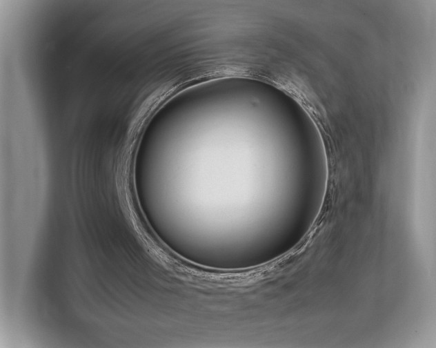 X0000112210001200908071503