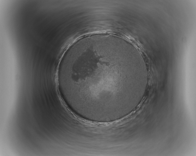 X0000112210002200908071503