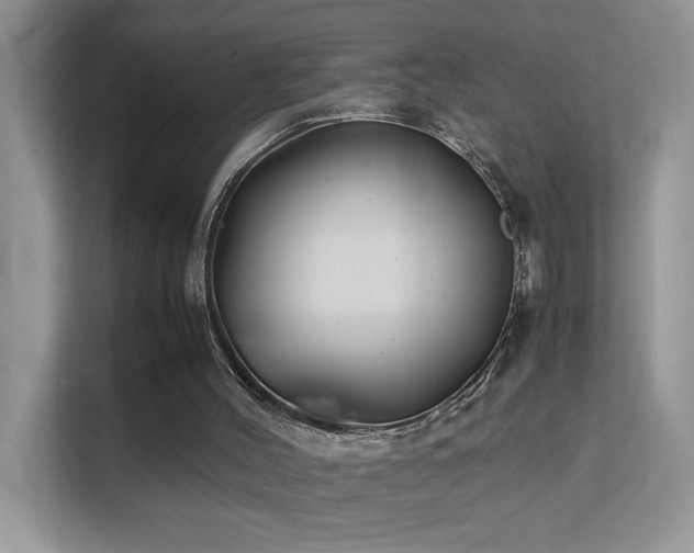 X0000112210004200908071503