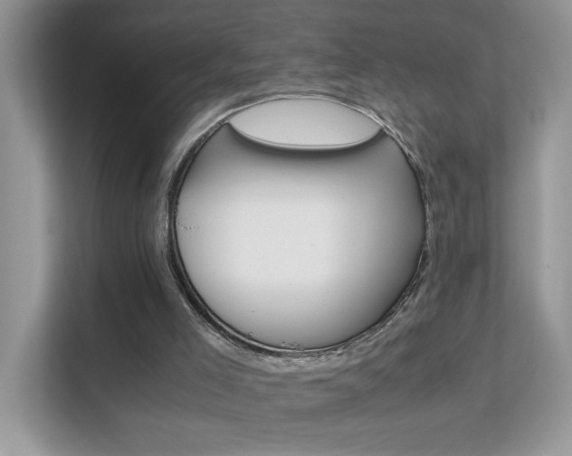 X0000112210005200908071503