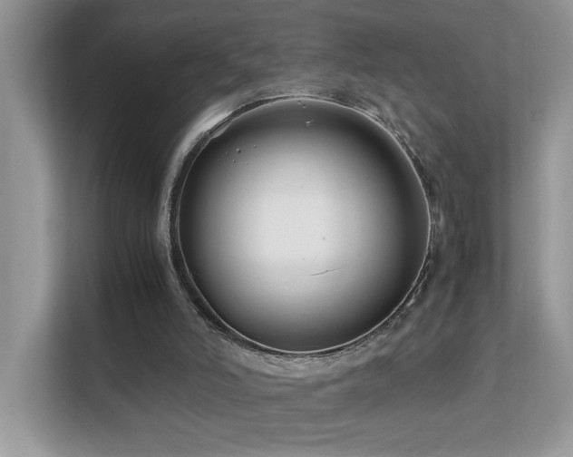 X0000112210006200908071503