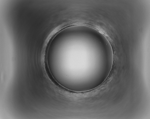 X0000112210007200908071503