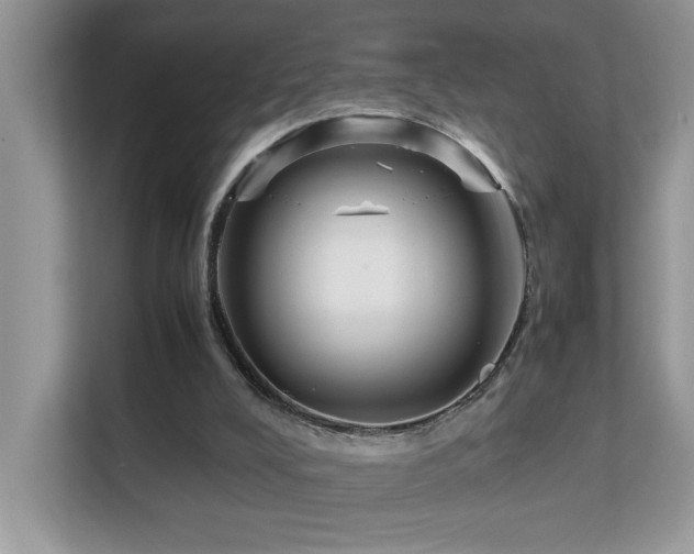 X0000112210008200908071503