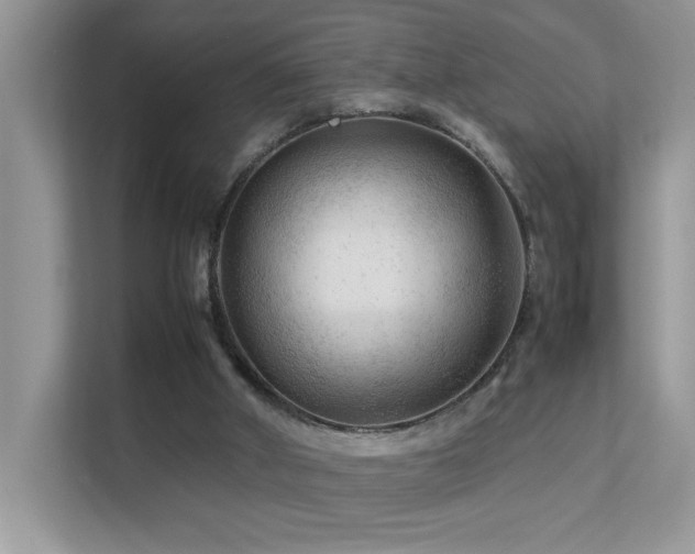 X0000112210010200908071503