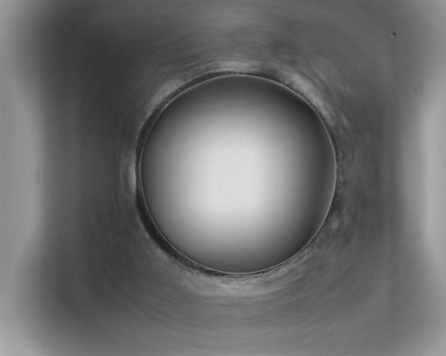 X0000112210011200908071503