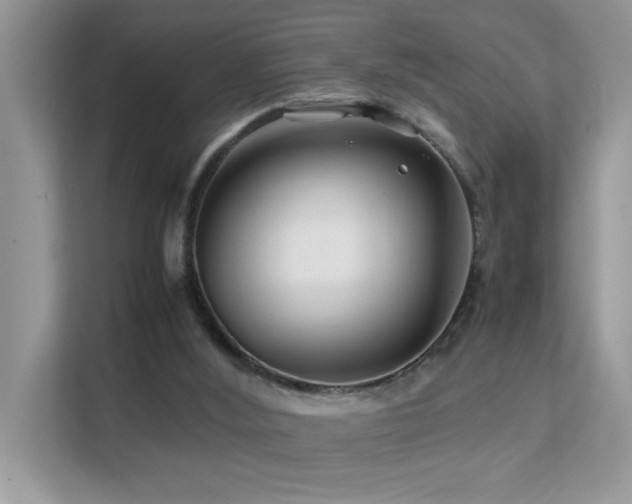 X0000112210012200908071503