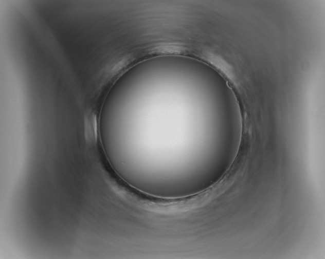 X0000112210013200908071503