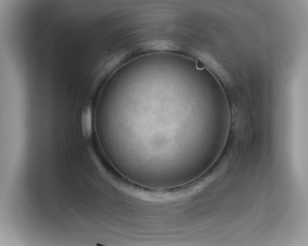 X0000112210014200908071503