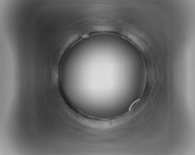 X0000112210015200908071503