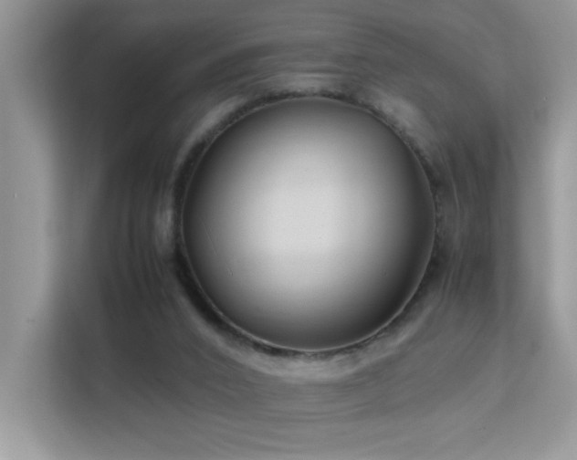 X0000112210016200908071503