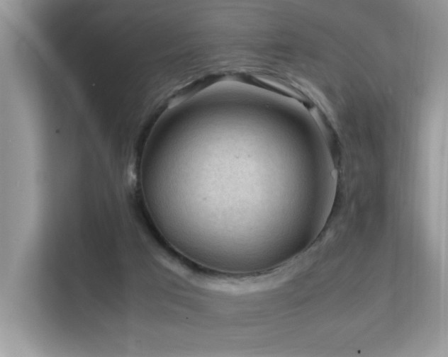 X0000112210017200908071503