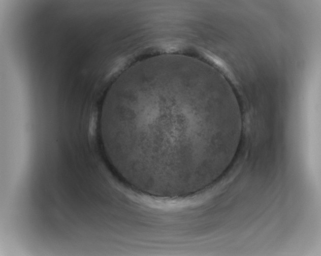 X0000112210018200908071503