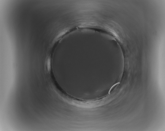 X0000112210019200908071503