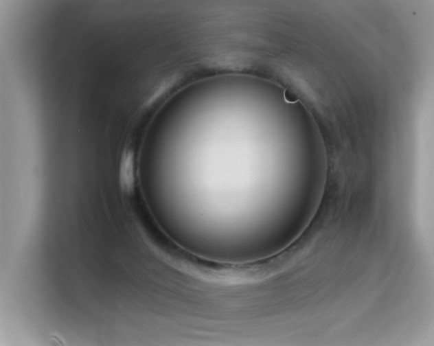 X0000112210020200908071503