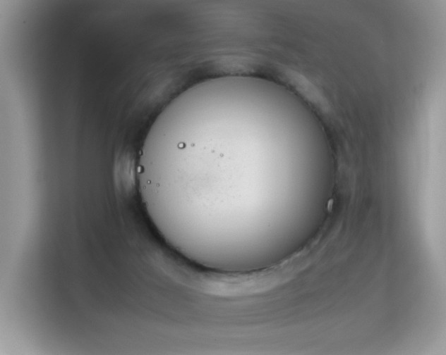 X0000112210021200908071503