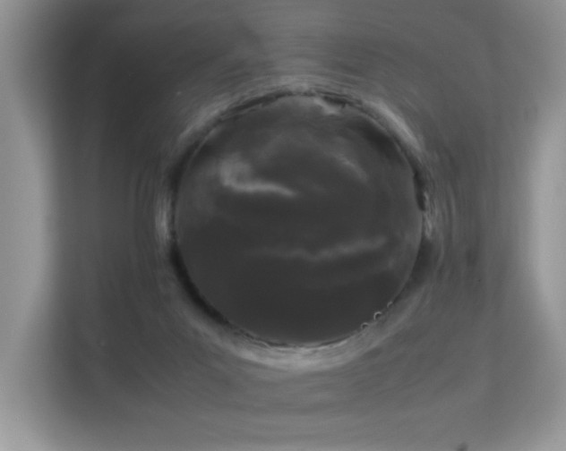 X0000112210023200908071503