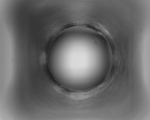 X0000112210025200908071503