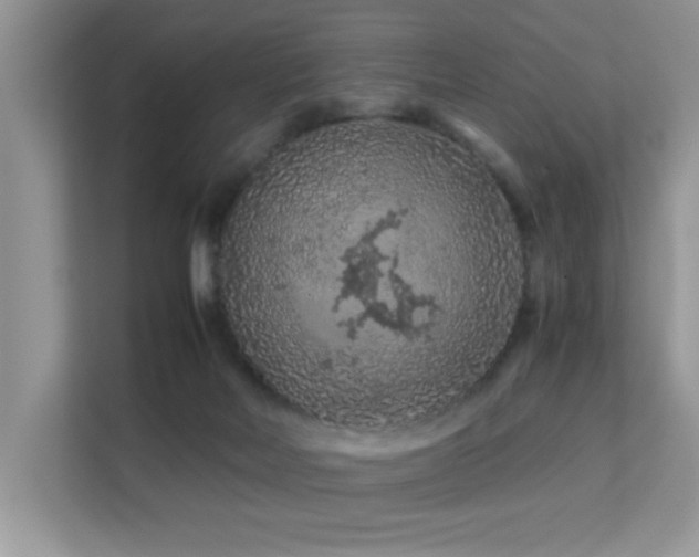 X0000112210026200908071503