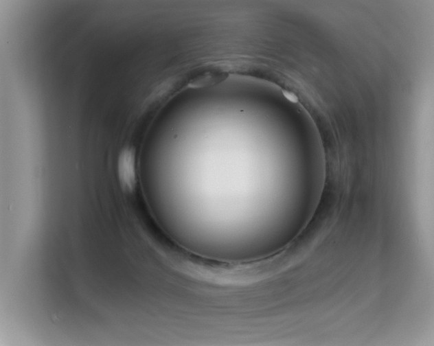 X0000112210028200908071503