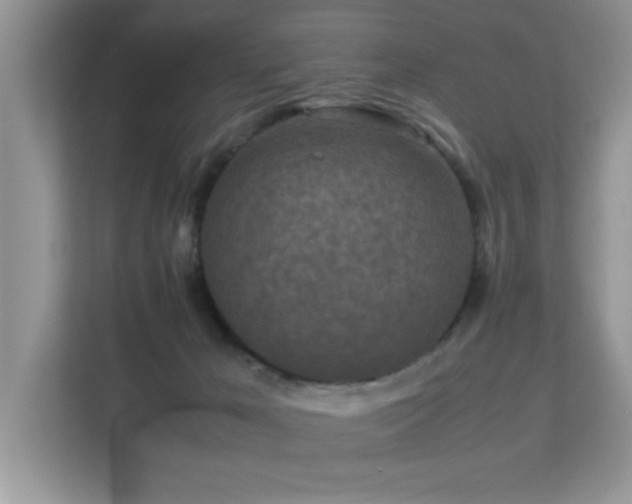 X0000112210029200908071503