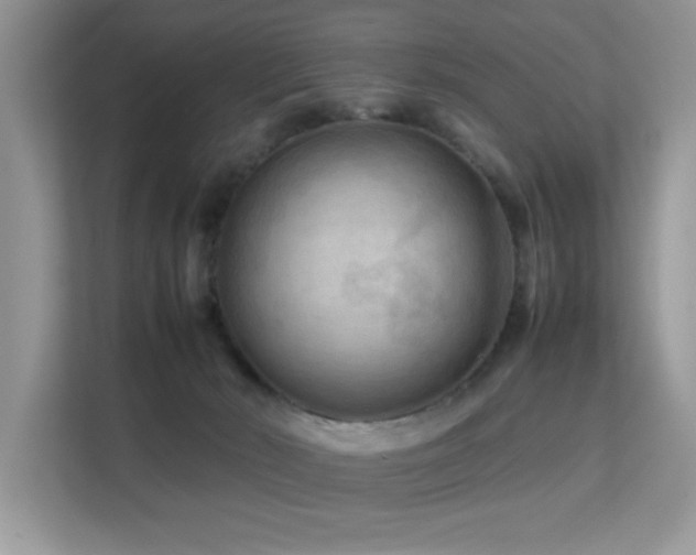 X0000112210030200908071503