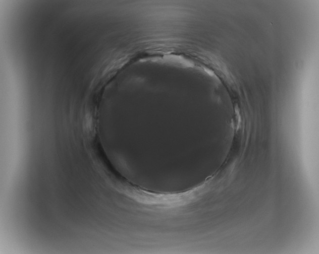 X0000112210031200908071503