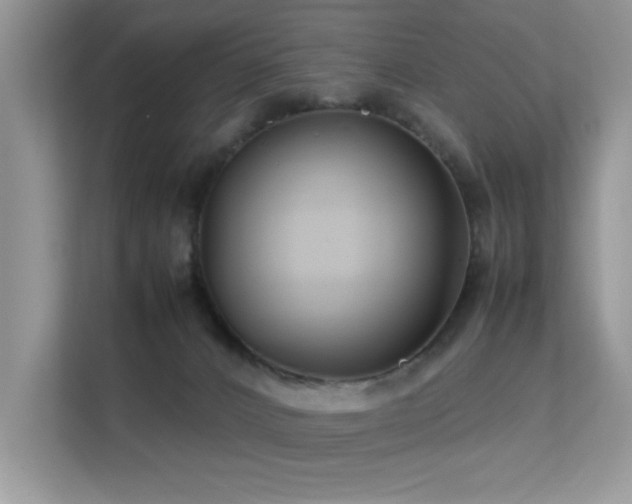 X0000112210032200908071503