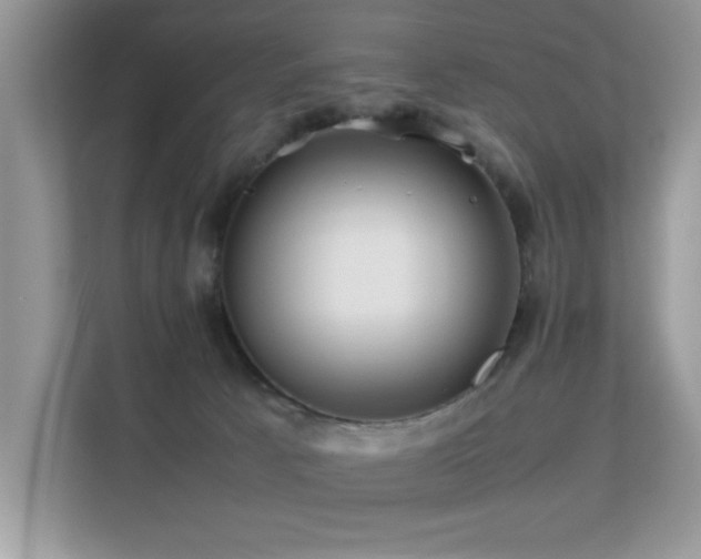 X0000112210033200908071503