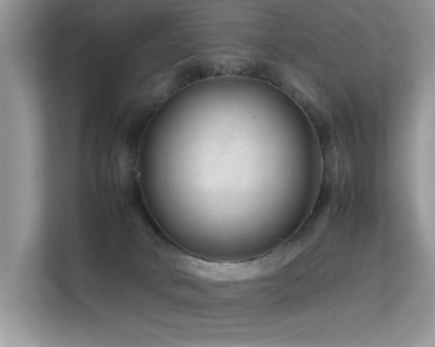 X0000112210034200908071503