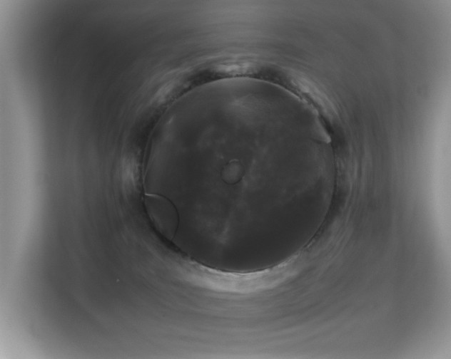 X0000112210035200908071503