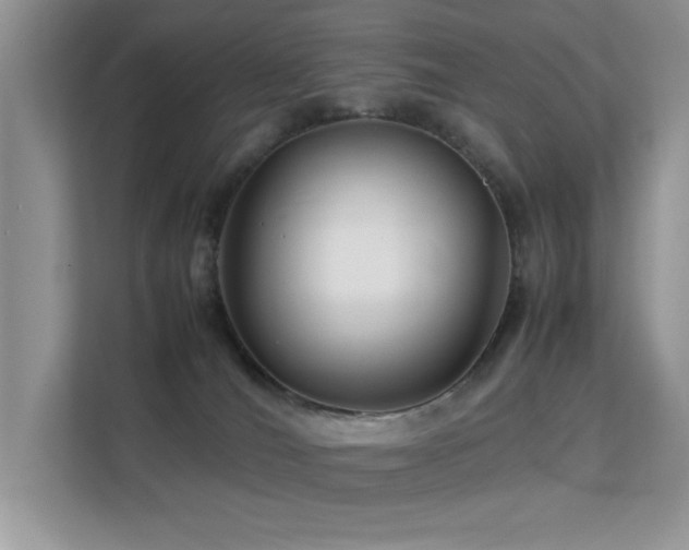 X0000112210036200908071503