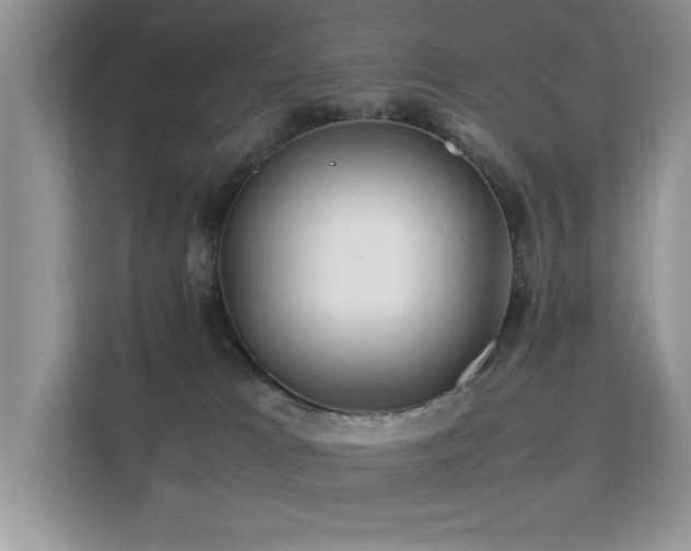 X0000112210037200908071503