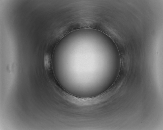 X0000112210038200908071503