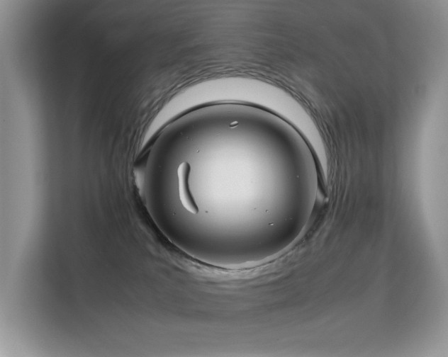 X0000112210039200908071503