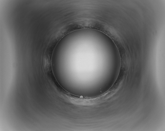 X0000112210040200908071503