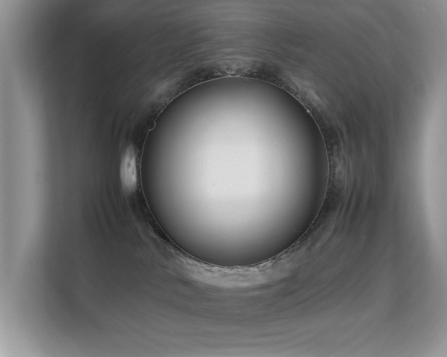 X0000112210042200908071503