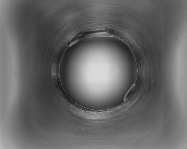 X0000112210044200908071503