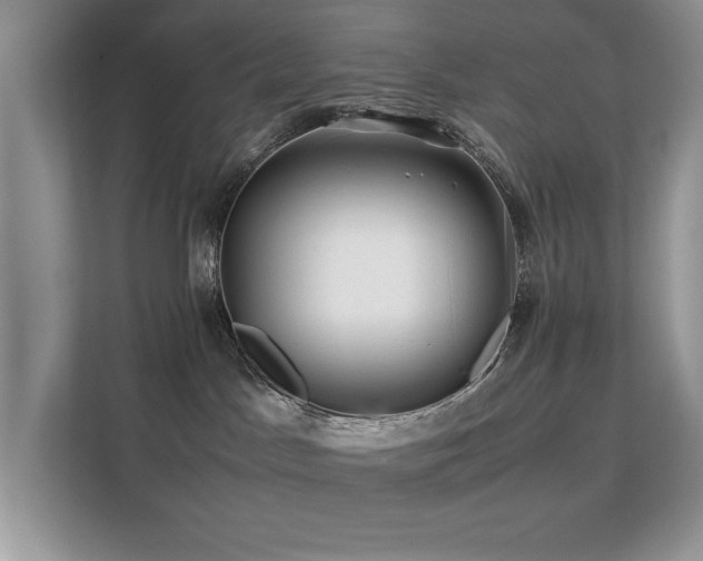 X0000112210045200908071503