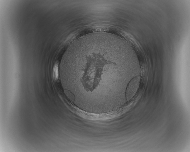 X0000112210046200908071503