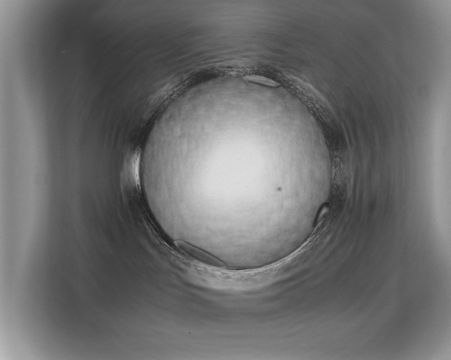 X0000112210047200908071503