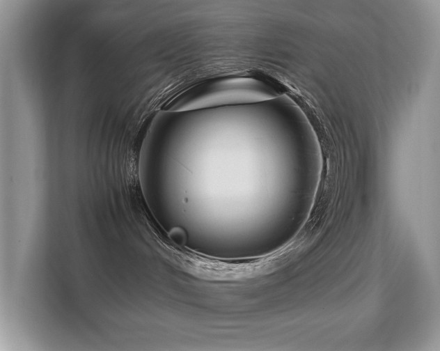 X0000112210048200908071503