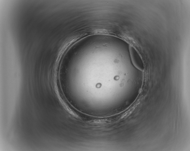 X0000112210049200908071502