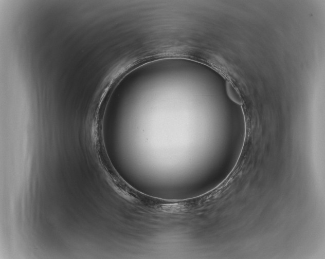 X0000112210050200908071502