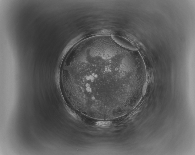 X0000112210051200908071502